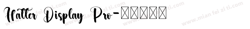 Hatter Display Pro字体转换